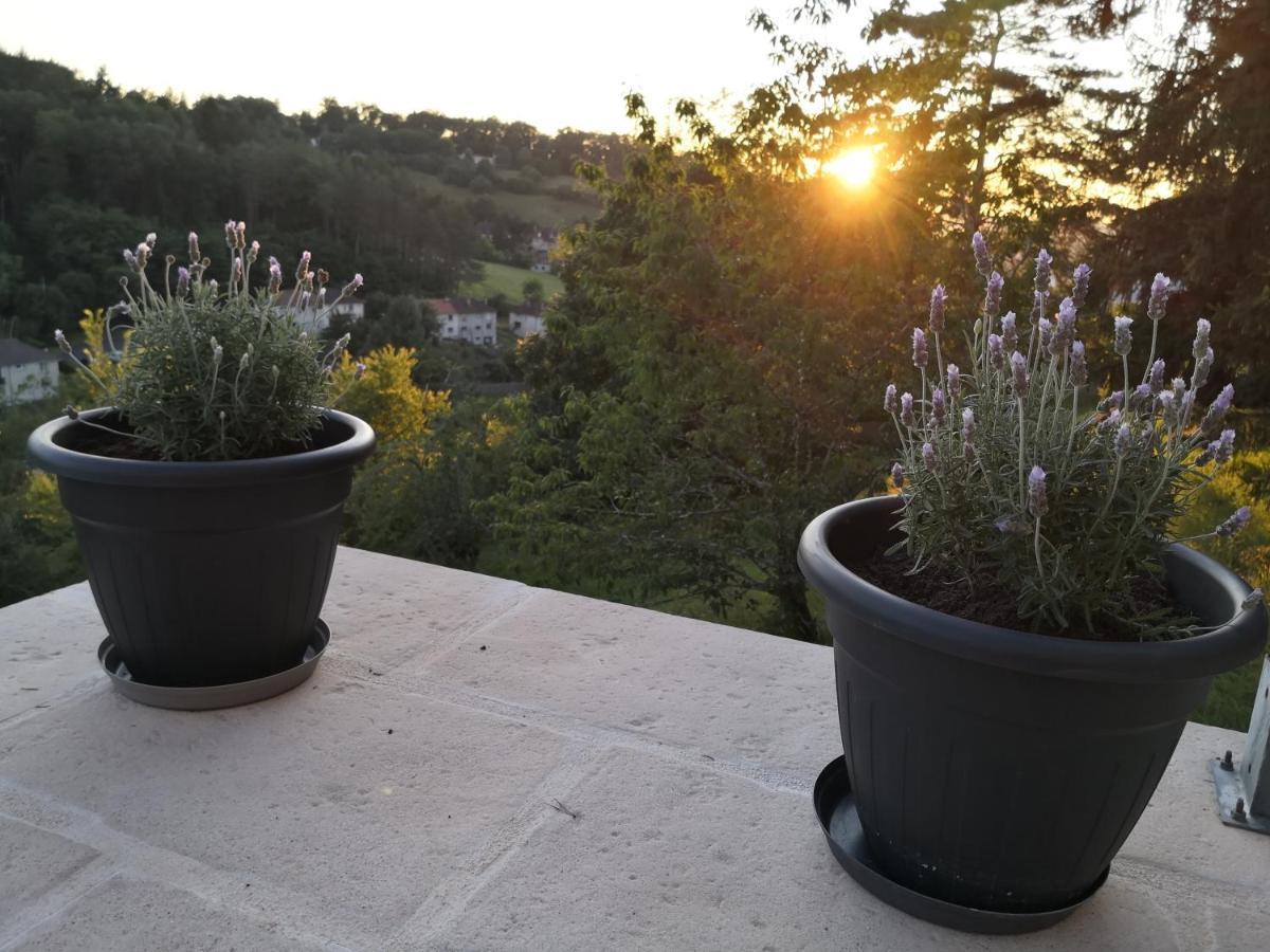 Chambre Meublee Avec Vue Panoramique A Perigueux Sanilhac  Buitenkant foto